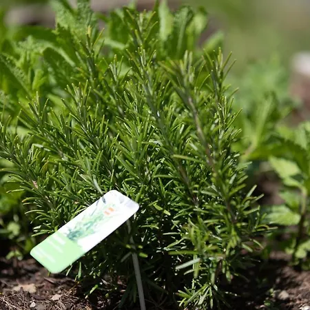 Erlebnishotel Kaernten Отель 3*