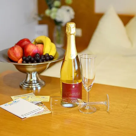 Erlebnishotel Kaernten 酒店 3*